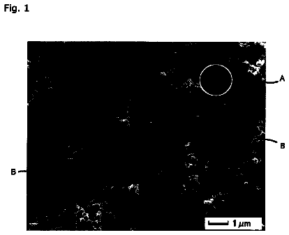 Drawing sheet 1 of US 8,647,777 B2
