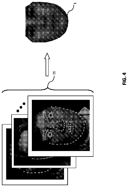 Drawing sheet 4 of US 8,655,029 B2