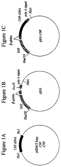 Drawing from US 8,658,373 B2
