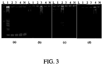 Drawing sheet 3 of US 8,658,781 B2