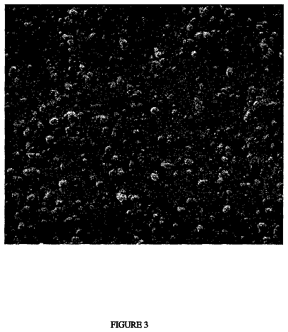 Drawing sheet 3 of US 8,663,690 B2