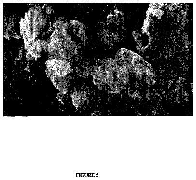Drawing sheet 5 of US 8,663,690 B2