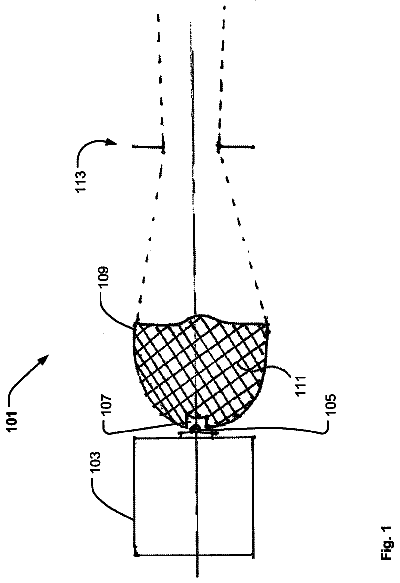 Drawing from US 8,664,858 B2