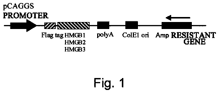 Drawing from US 8,673,580 B2
