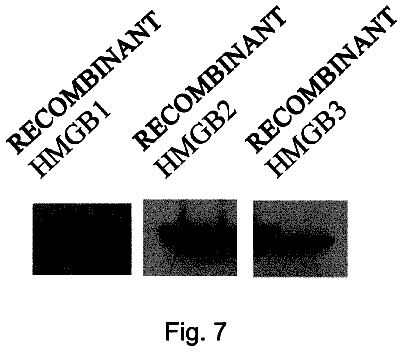 Drawing sheet 7 of US 8,673,580 B2