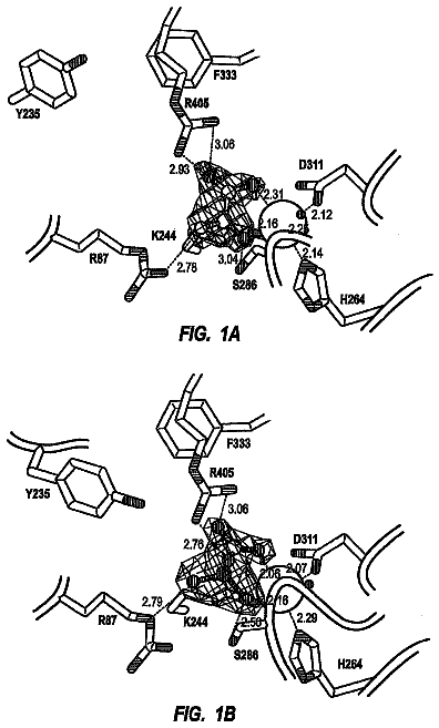 Drawing from US 8,673,584 B2