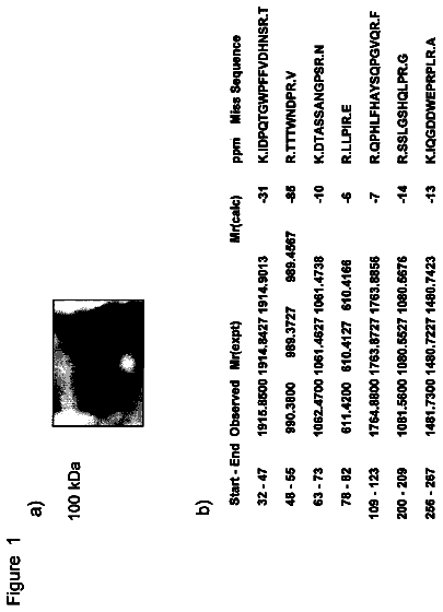 Drawing from US 8,673,585 B2