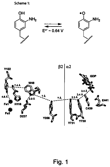 Drawing sheet 1 of US 8,673,591 B2