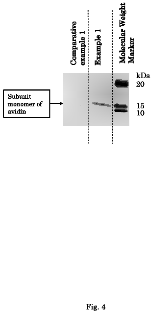Drawing sheet 4 of US 8,674,066 B2