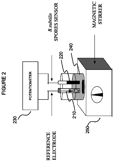 Drawing sheet 2 of US 8,679,806 B2