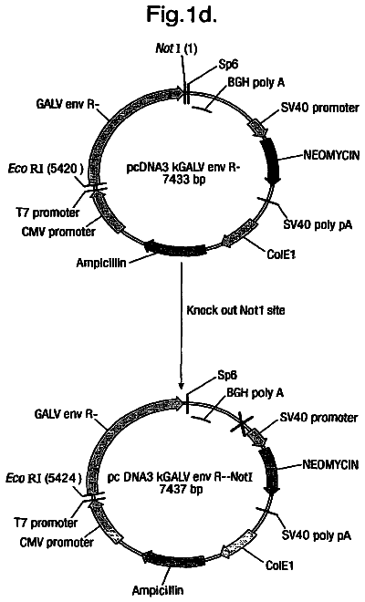 Drawing sheet 4 of US 8,679,830 B2