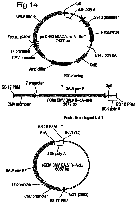 Drawing sheet 5 of US 8,679,830 B2