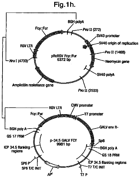 Drawing sheet 8 of US 8,679,830 B2