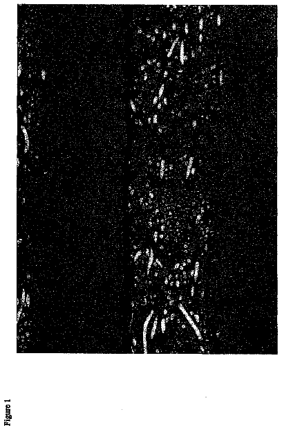 Drawing from US 8,685,574 B2