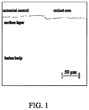 Drawing from US 8,686,063 B2