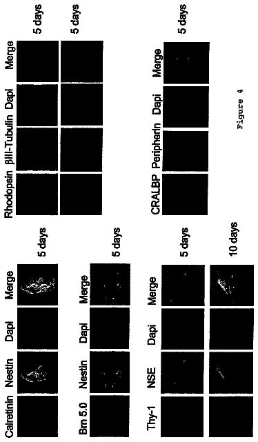 Drawing sheet 4 of US 8,691,207 B2