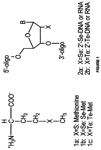 Drawing from US 8,691,972 B2