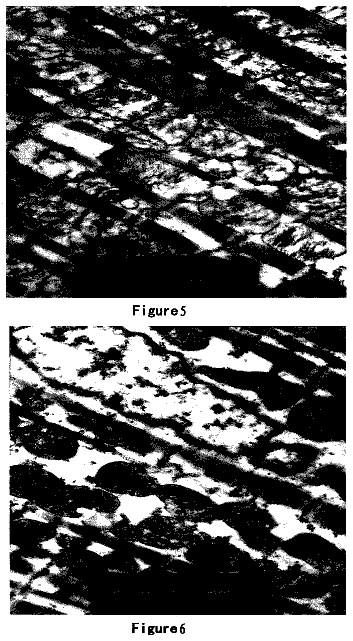 Drawing sheet 3 of US 8,697,839 B2