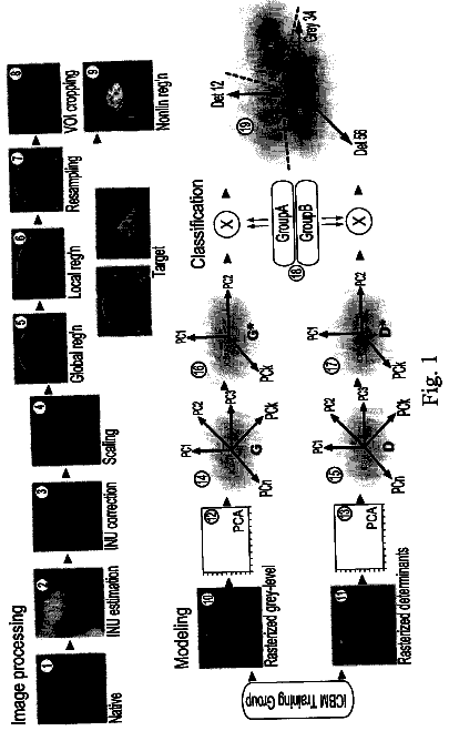 Drawing from US 8,699,776 B2