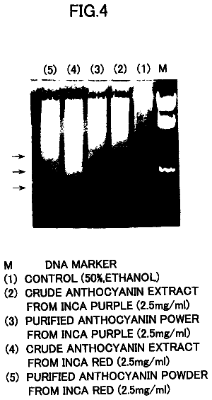 Drawing sheet 4 of US 8,709,504 B2