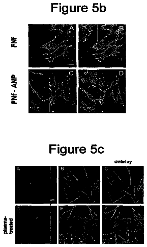 Drawing sheet 6 of US 8,715,718 B2
