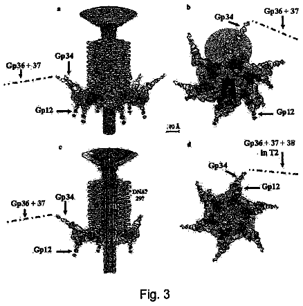 Drawing sheet 3 of US 8,728,734 B2