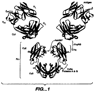 Drawing from US 8,734,791 B2