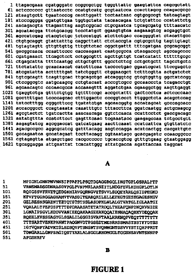 Drawing from US 8,734,811 B2