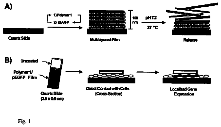Drawing sheet 1 of US 8,734,851 B2