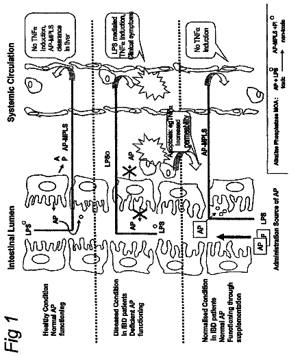 Drawing from US 8,735,087 B2