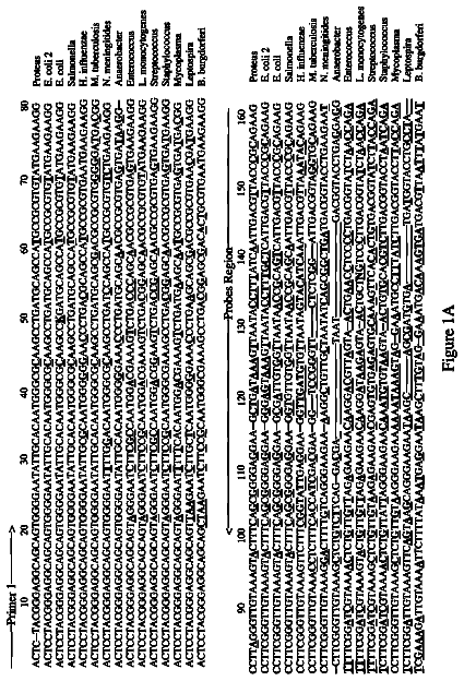 Drawing from US 8,741,565 B2