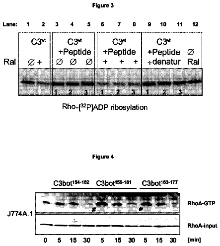 Drawing sheet 2 of US 8,747,841 B2