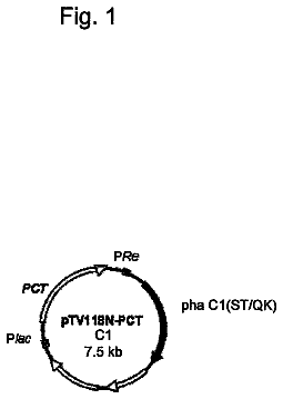 Drawing from US 8,748,137 B2