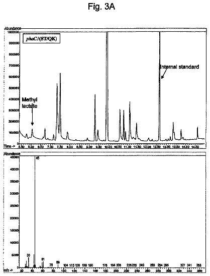 Drawing sheet 3 of US 8,748,137 B2