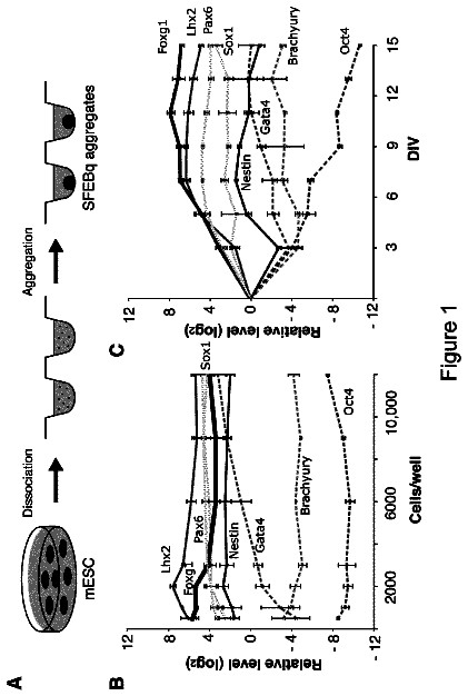 Drawing from US 8,748,176 B2