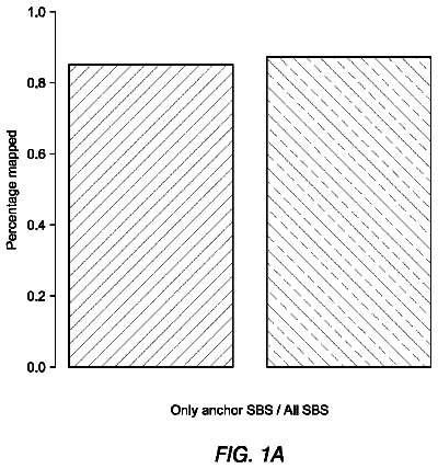 Drawing from US 8,753,816 B2