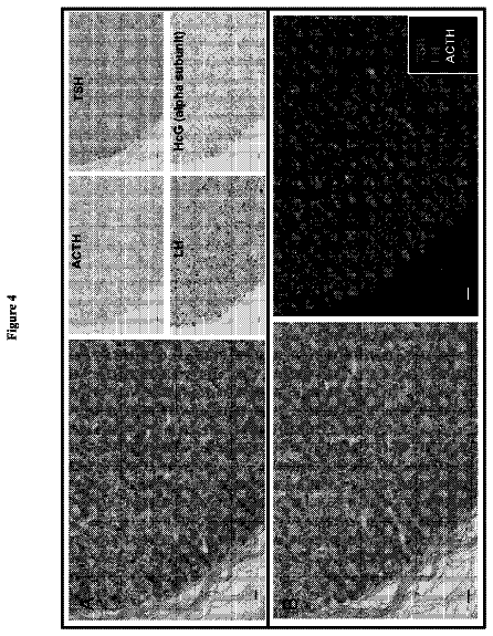 Drawing sheet 4 of US 8,753,824 B2
