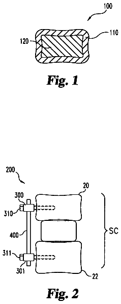 Drawing from US 8,758,407 B2