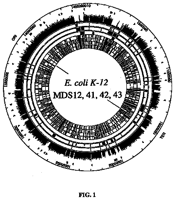 Drawing from US 8,765,408 B2