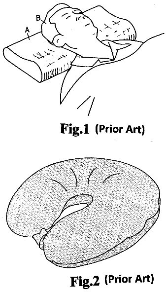Drawing from US 8,769,745 B1