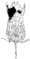 Drawing from US 8,771,646 B2