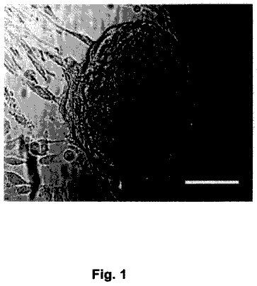 Drawing from US 8,771,677 B2