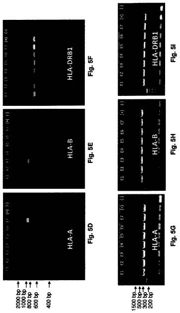 Drawing sheet 6 of US 8,771,951 B2