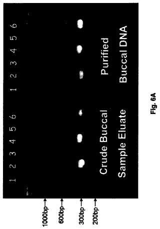 Drawing sheet 7 of US 8,771,951 B2