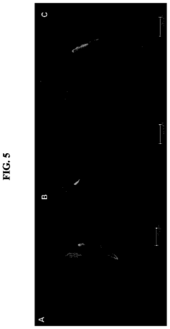 Drawing sheet 8 of US 8,772,029 B2
