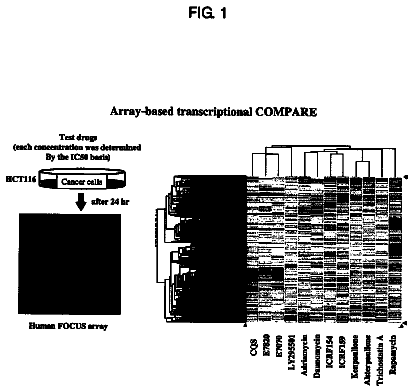 Drawing from US 8,772,269 B2