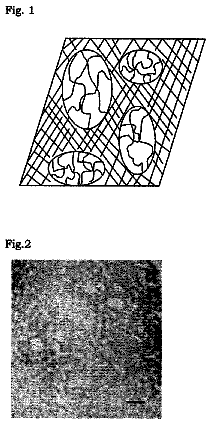 Drawing from US 8,778,377 B2
