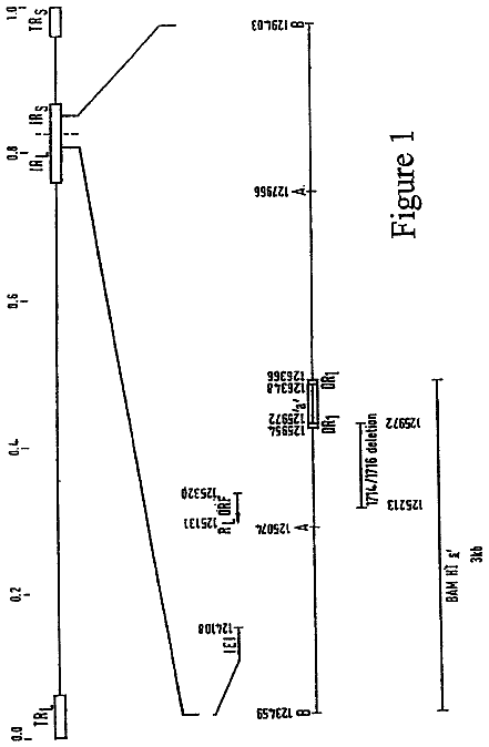 Drawing sheet 1 of US 8,778,684 B2