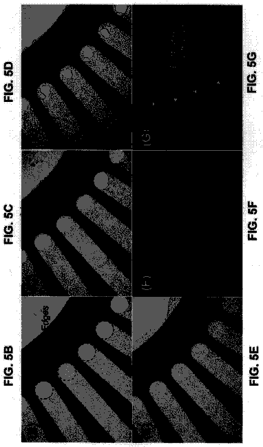 Drawing sheet 7 of US 8,779,779 B2