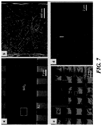 Drawing sheet 6 of US 8,784,673 B2